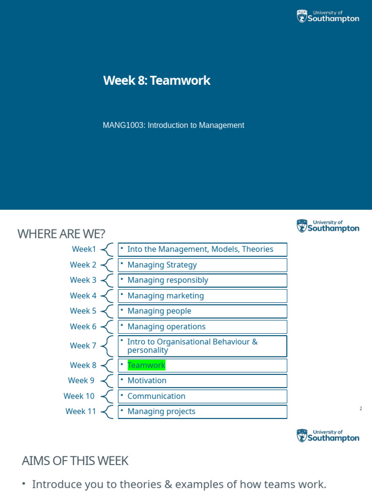 Week 8 - Teamwork - Tagged | PDF | Group Cohesiveness | Motivation