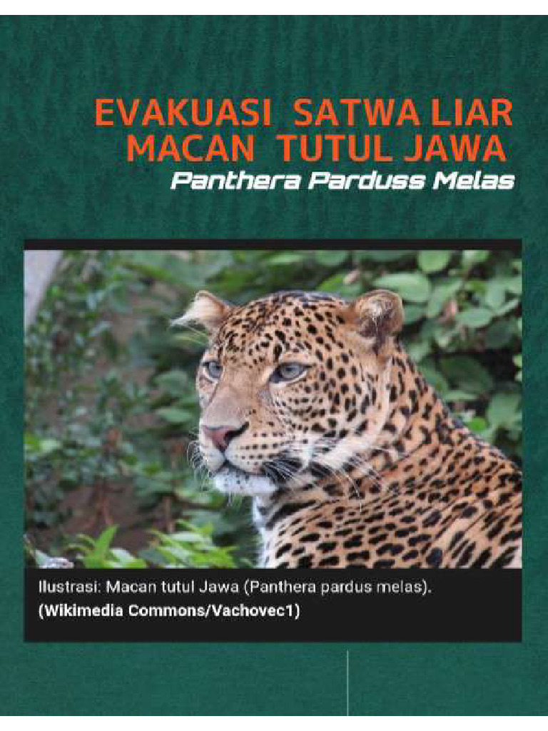 Java Tiger Evacuation Route Map | PDF | Geographic Data And Information