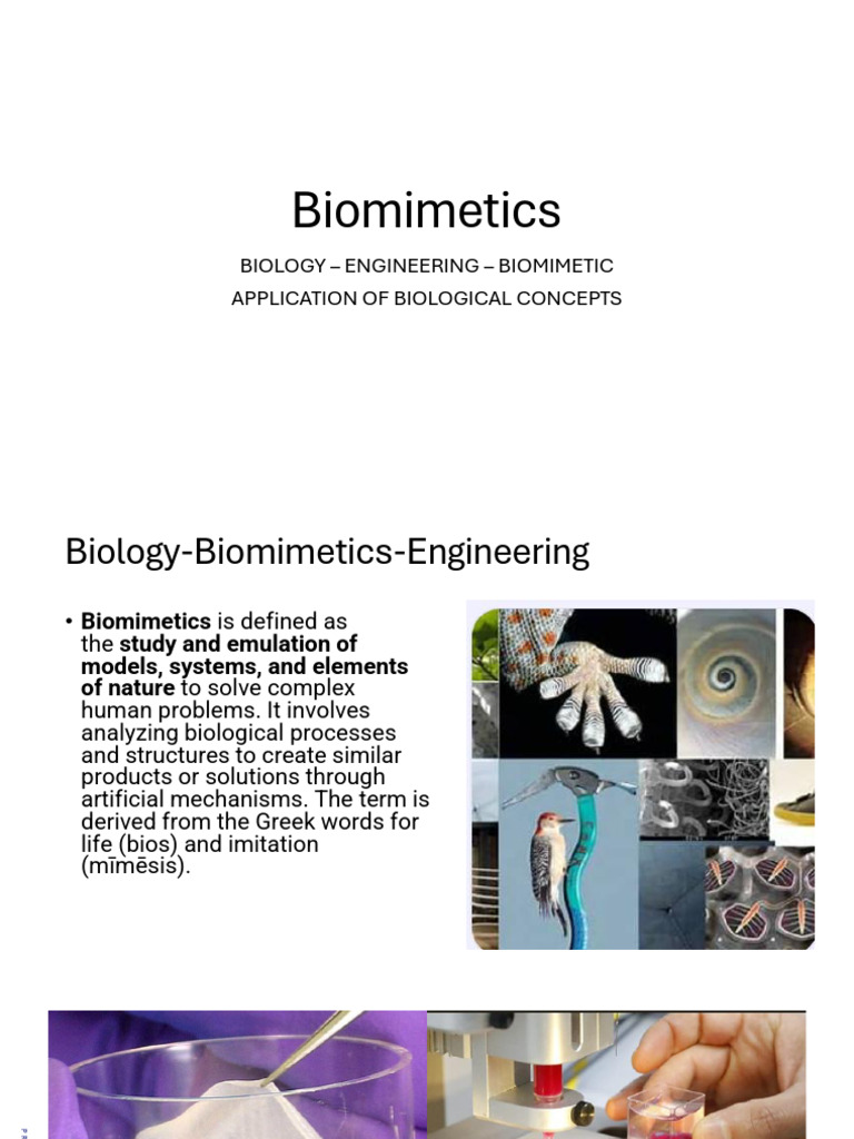 Biomimetics in Engineering and Health | PDF | Tissue Engineering | Bone