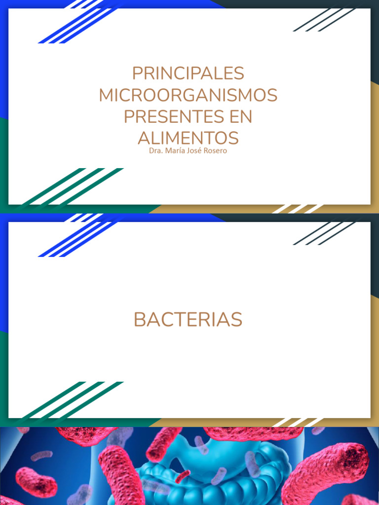 Microorganismos en Alimentos: Bacterias | PDF