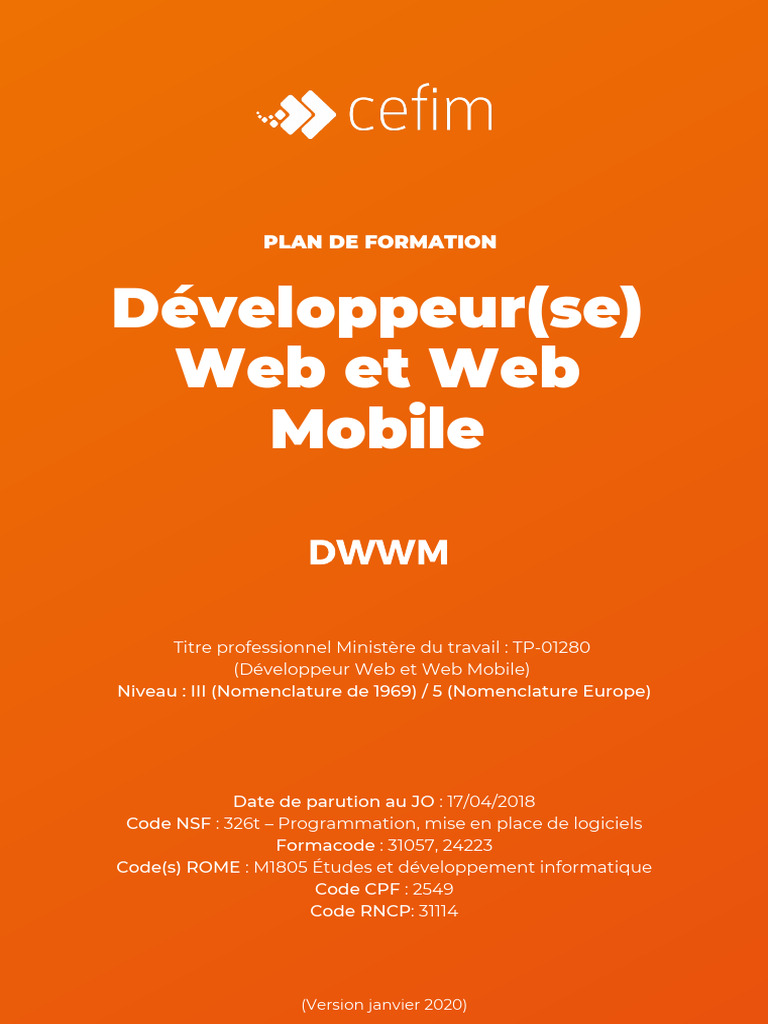 Formation Développeur Web et Mobile | PDF | Internet | Internet et Web