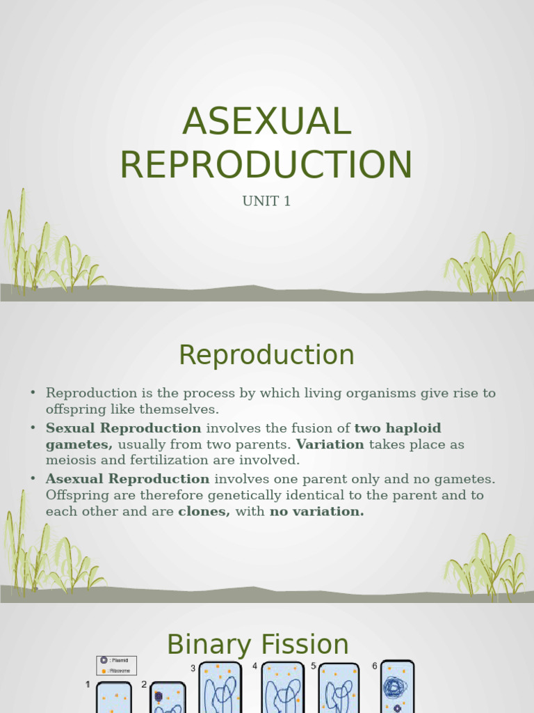 Asexual Reproduction Methods Explained | PDF | Reproduction | Sexual ...