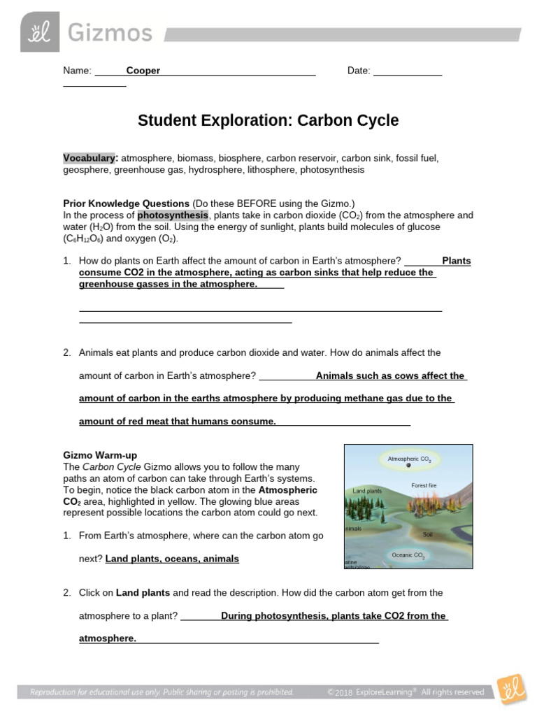Understanding the Carbon Cycle | PDF | Carbon Dioxide In Earth's ...