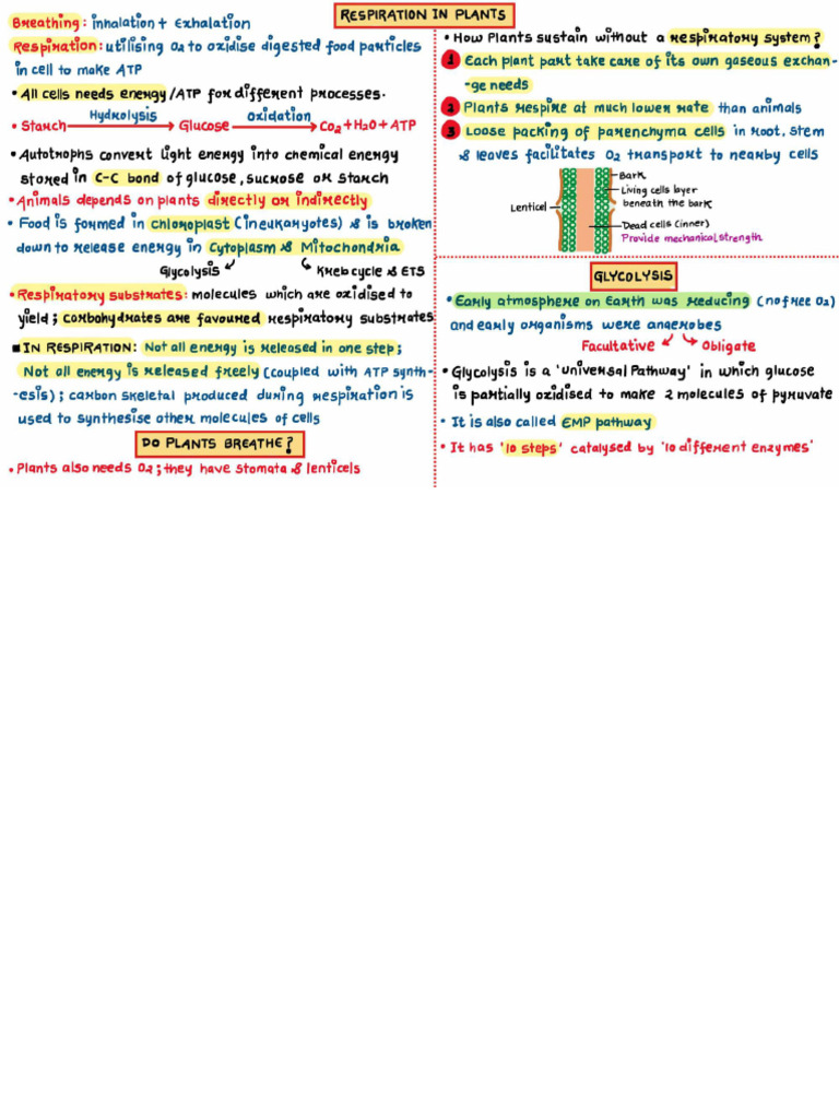 67188a18c33b75dcfd049d39 - ## - Respiration in Plants - Class Notes ...