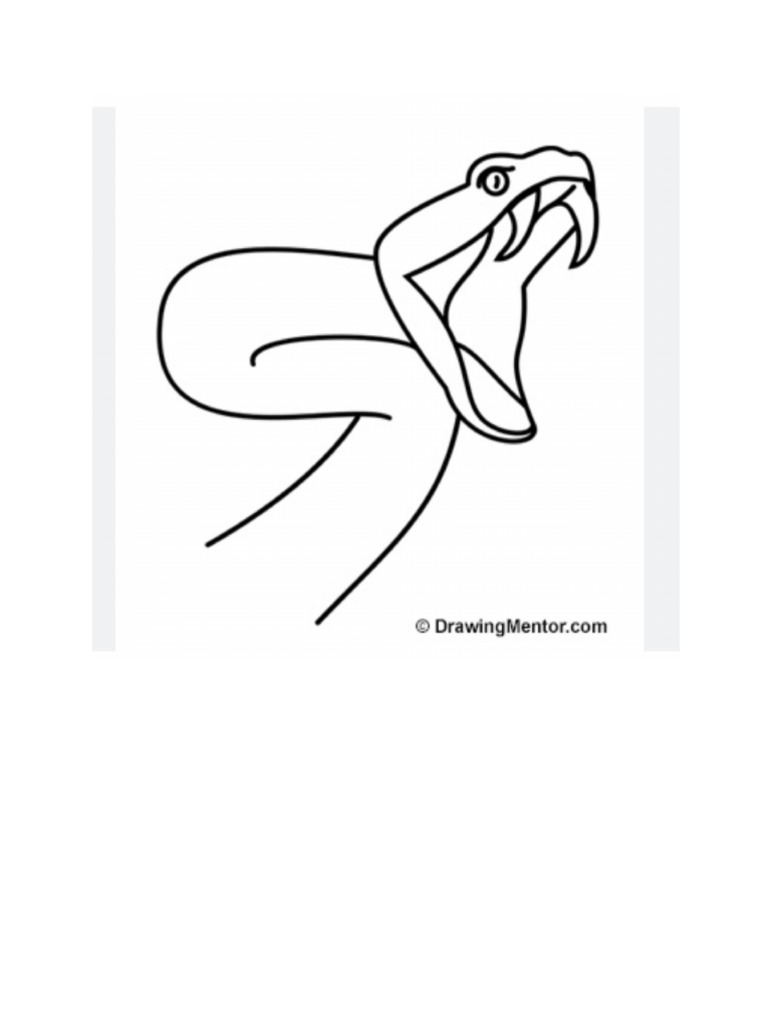 Snake' | PDF