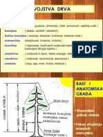 svojstva_drveta