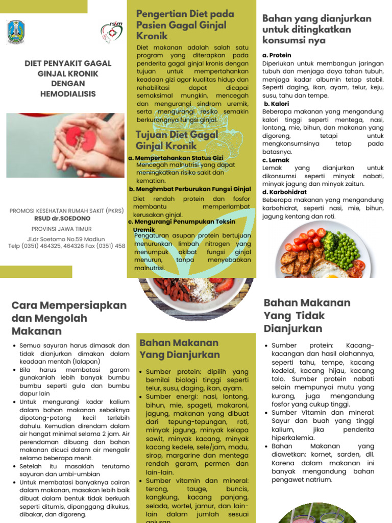 Leaflet Diet CKD Dengan HD | PDF