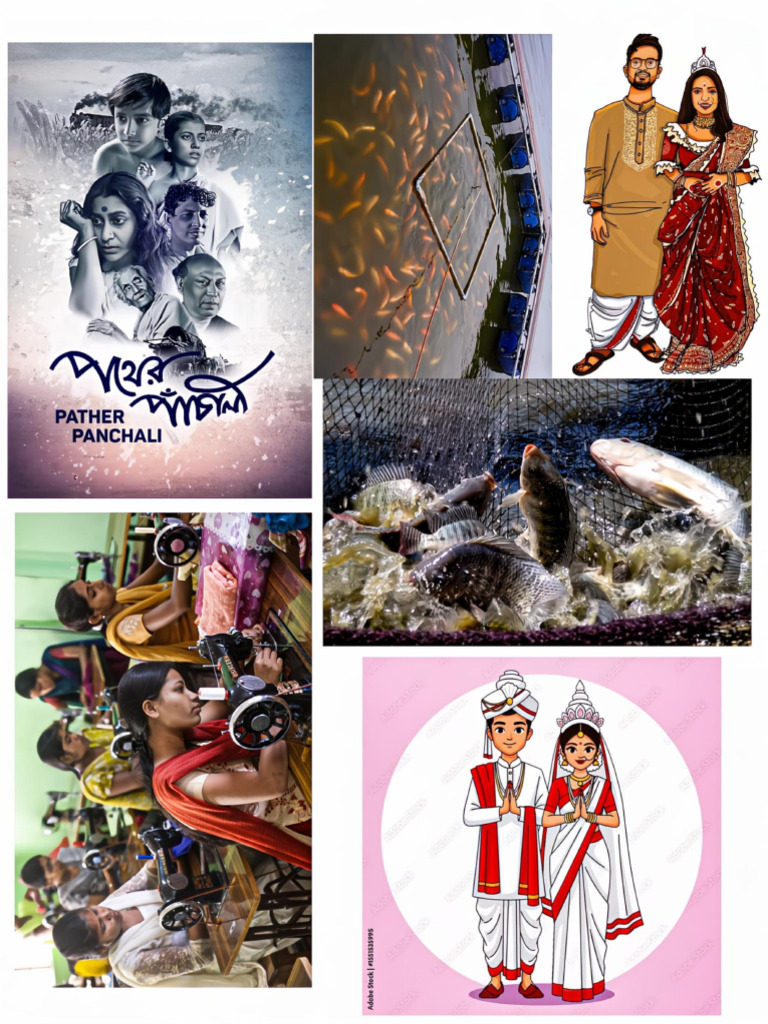 Bijoya Project | PDF