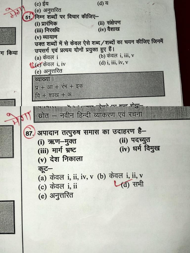 Hindi Test 5 | PDF