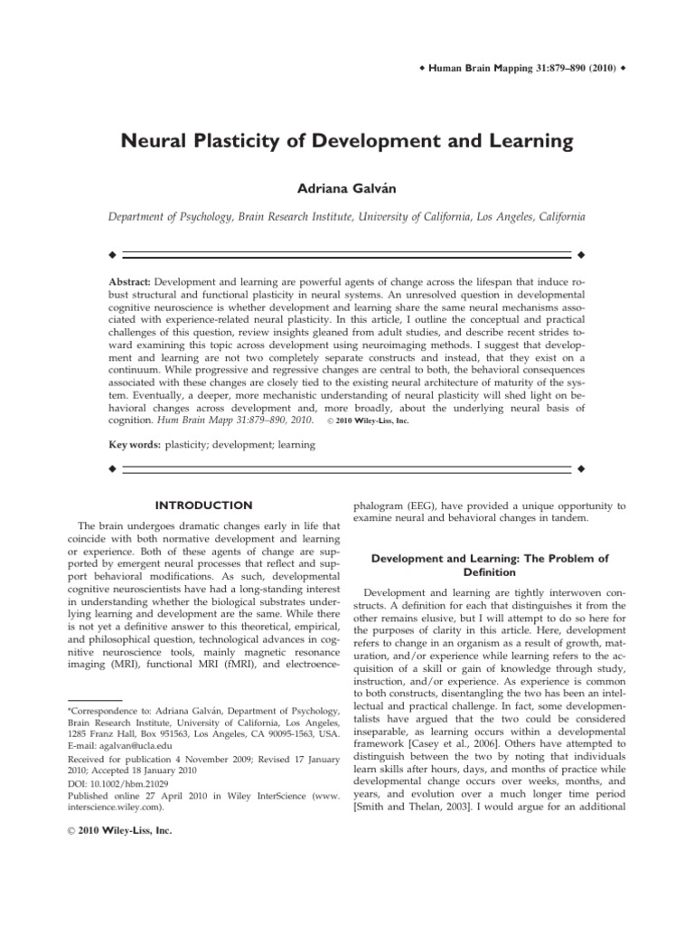 Neural Plasticity in Development & Learning | PDF | Neuroplasticity ...