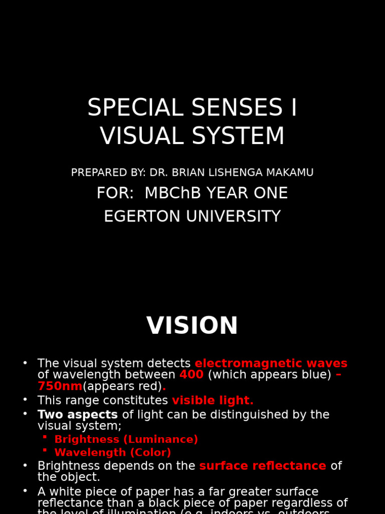 Understanding the Visual System | PDF | Retina | Neuron