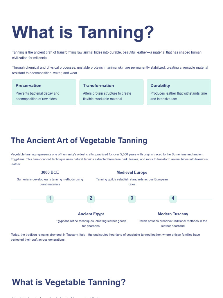 Understanding Vegetable Tanning Process | PDF | Leather | Materials