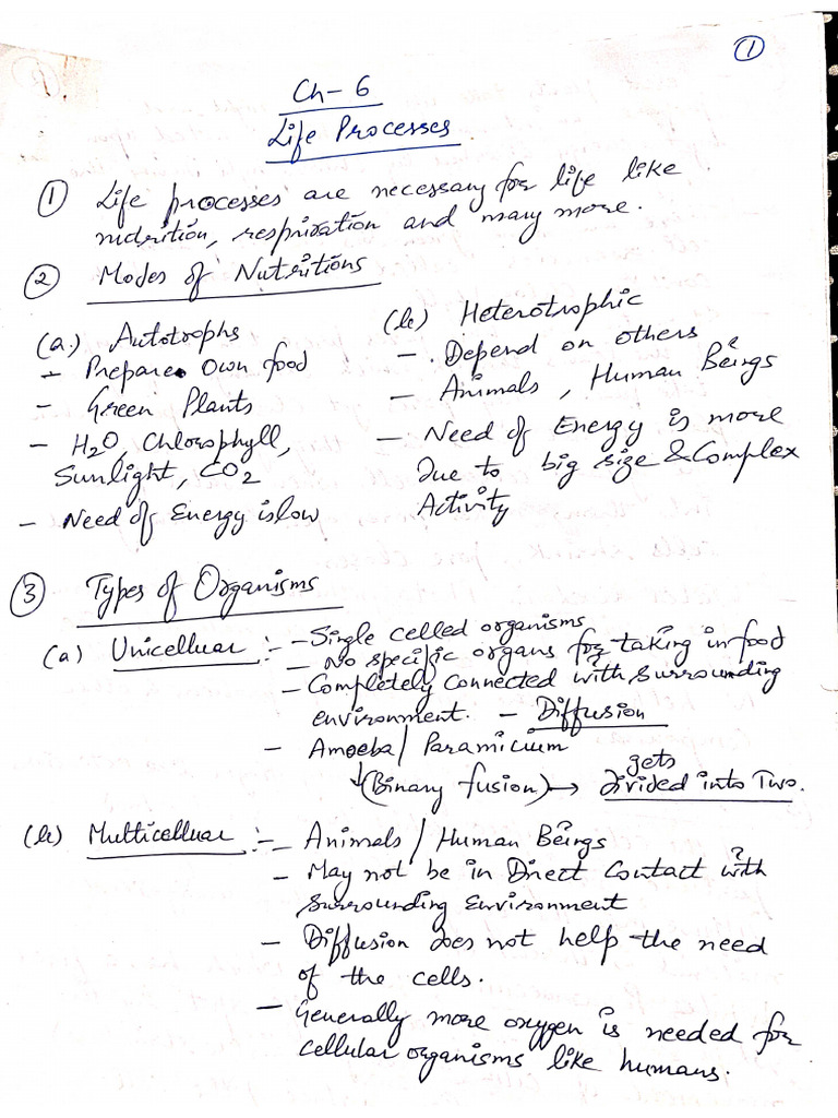 CH 5 Life Processes | PDF