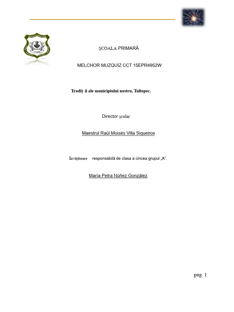 Proiect de Pirotehnie | PDF