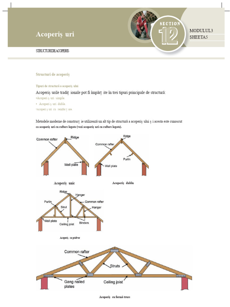 Structuri de Acoperiș Explicate | PDF