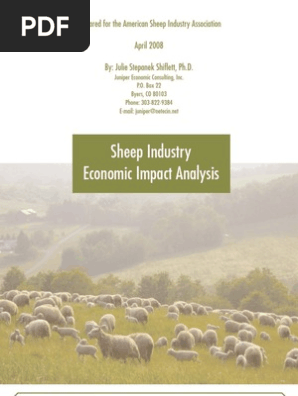 Sheep