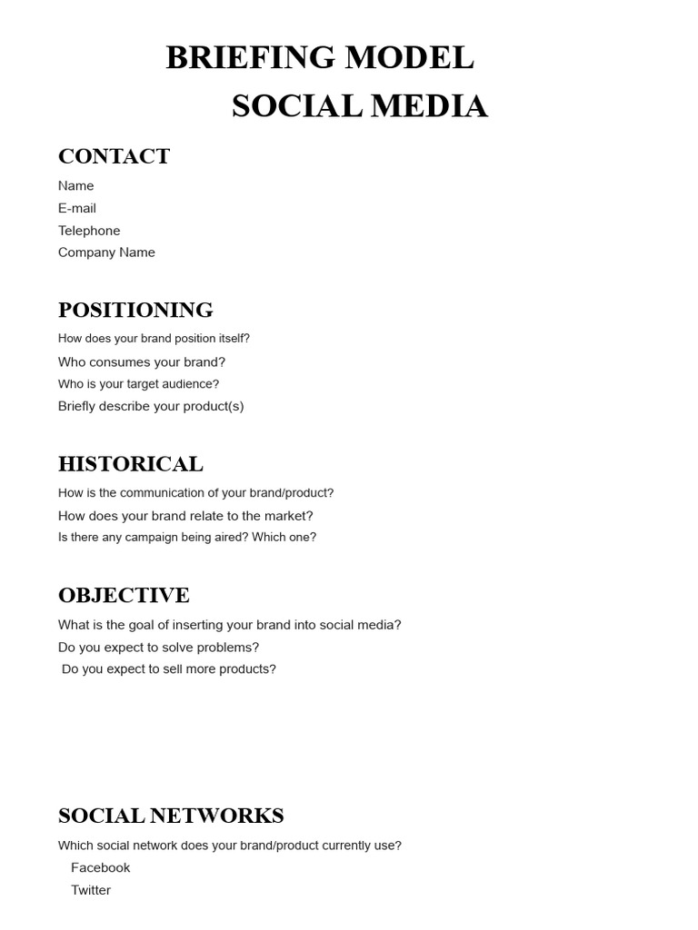 Social Media Strategy Briefing Template | PDF