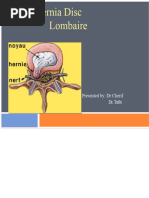 Signo Dandy HNP | PDF
