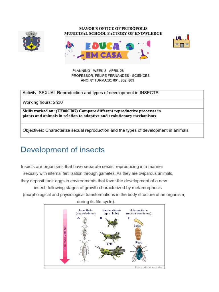 Development of insects | PDF | Pupa | Insects