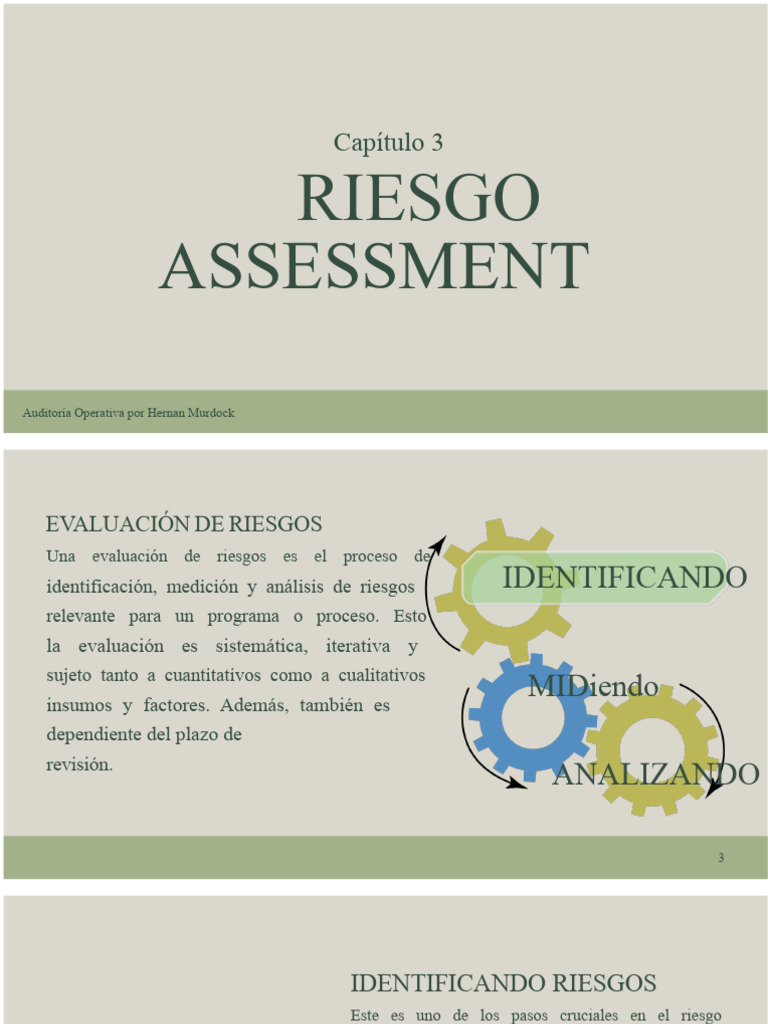 Evaluación de Riesgos en Auditoría Operativa | PDF | Riesgo ...