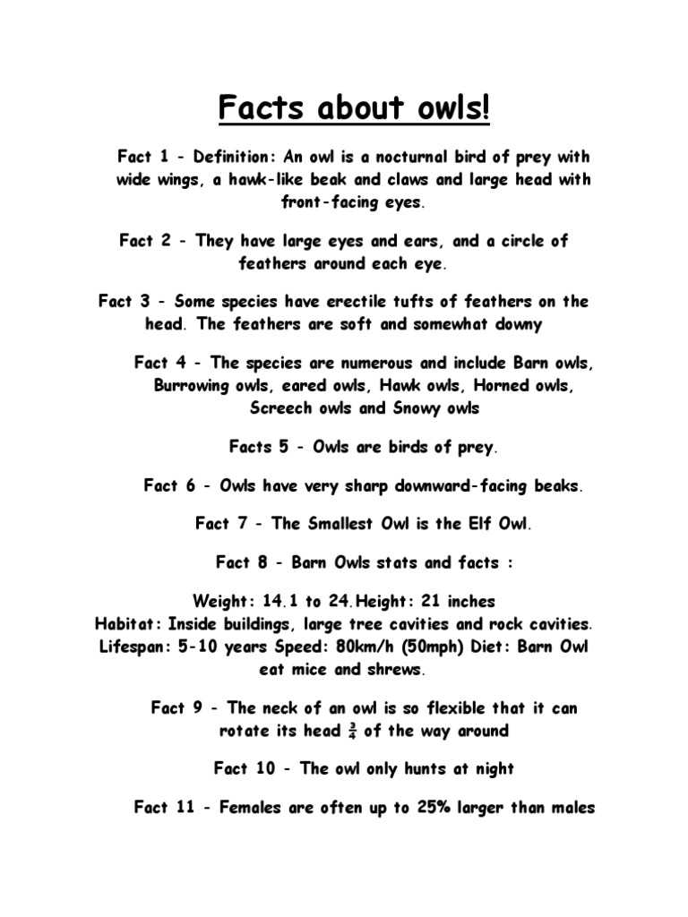 Fascinating Owl Facts and Species Overview | PDF