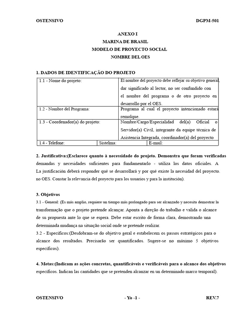 28-Anexo I - Modelo de Proyecto Social | PDF