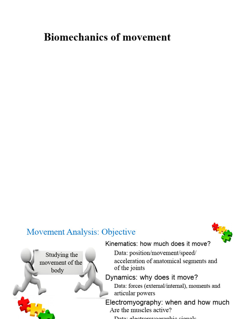 Understanding Human Movement Biomechanics | PDF | Anatomical Terms Of ...