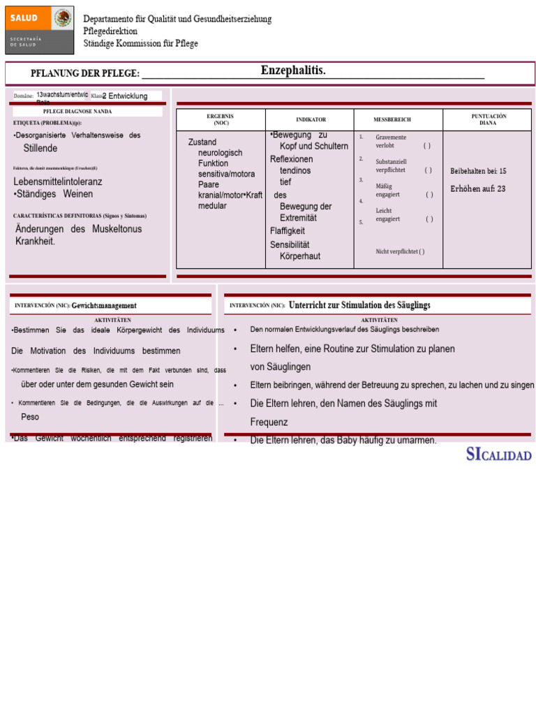 Enzephalitis eITS | PDF