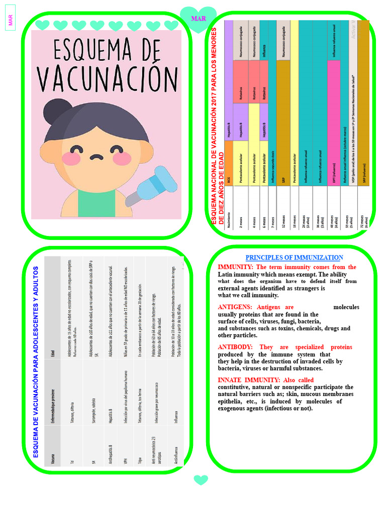 Principles of Immunization Explained | PDF | Immune System | Vaccines