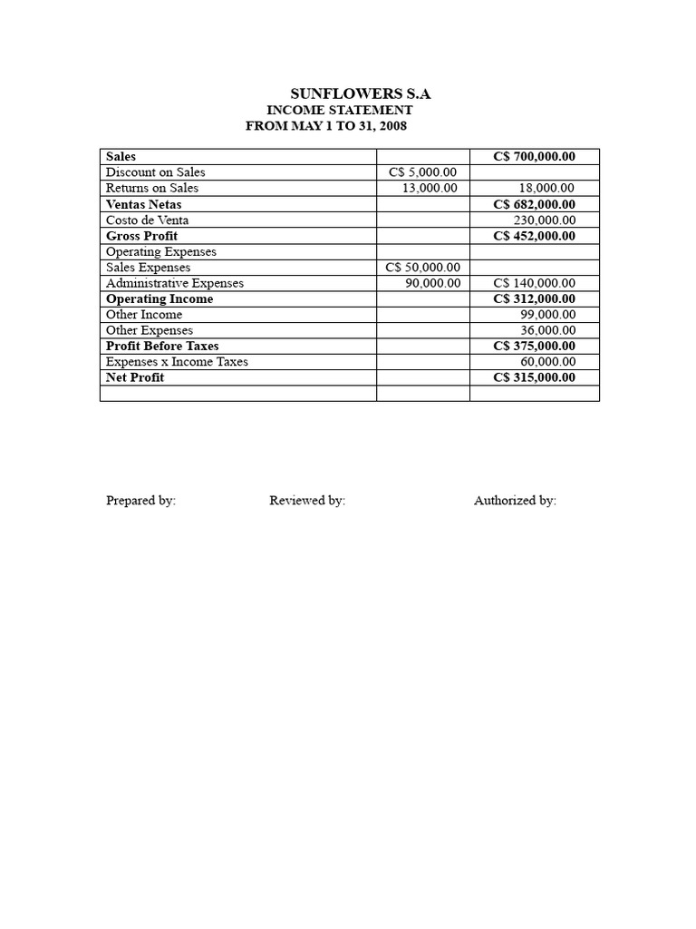 Income Statement and Balance Sheet GIRASOLES, S.A. | PDF | Expense ...