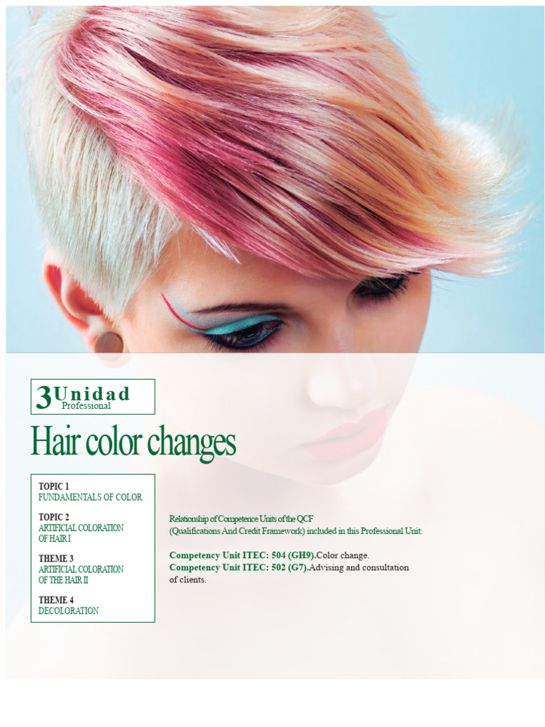 Hair Color Change Fundamentals Guide | PDF | Methodology | Dye