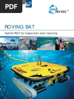 Roving Bat