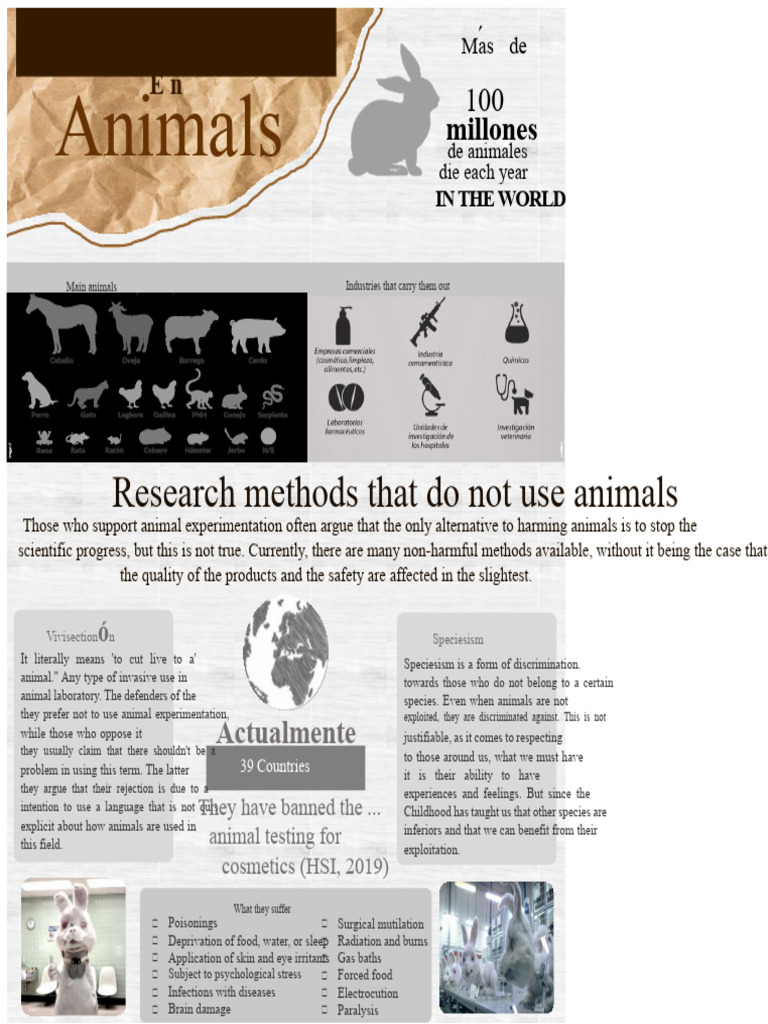 Alternatives to Animal Testing Explained | PDF | Animal Testing ...