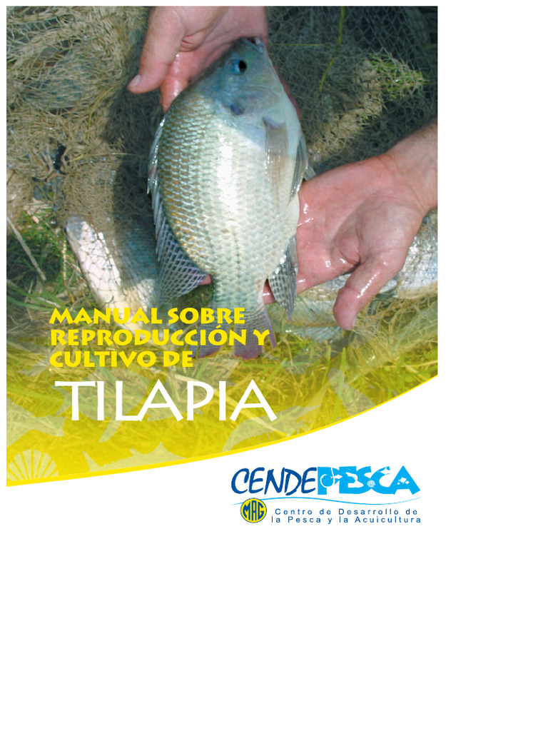 Guide de reproduction du tilapia | PDF | Aquaculture | Sexe