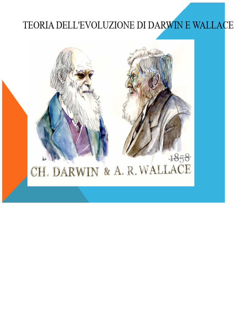 Teoria Dell'evoluzione Di Darwin e Wallace | PDF