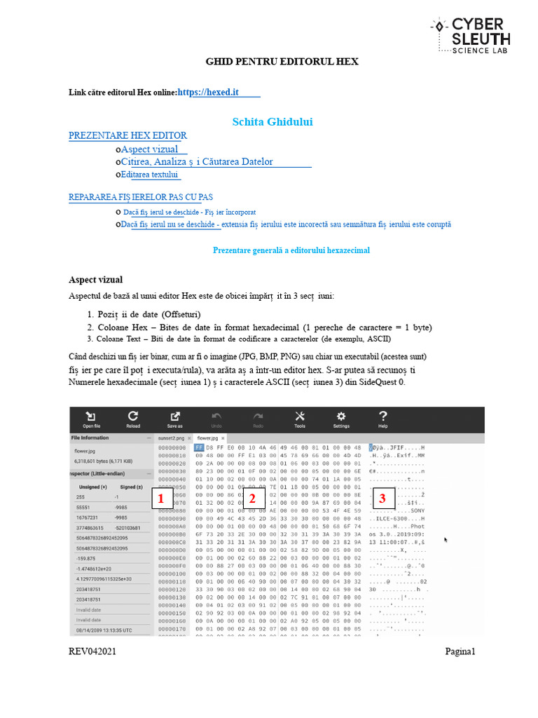 Ghid Pentru Editor HEX | PDF