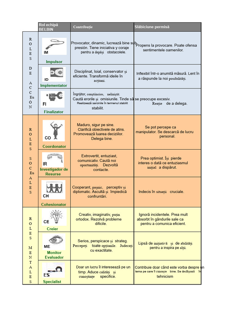 Tabelul Belbin | PDF