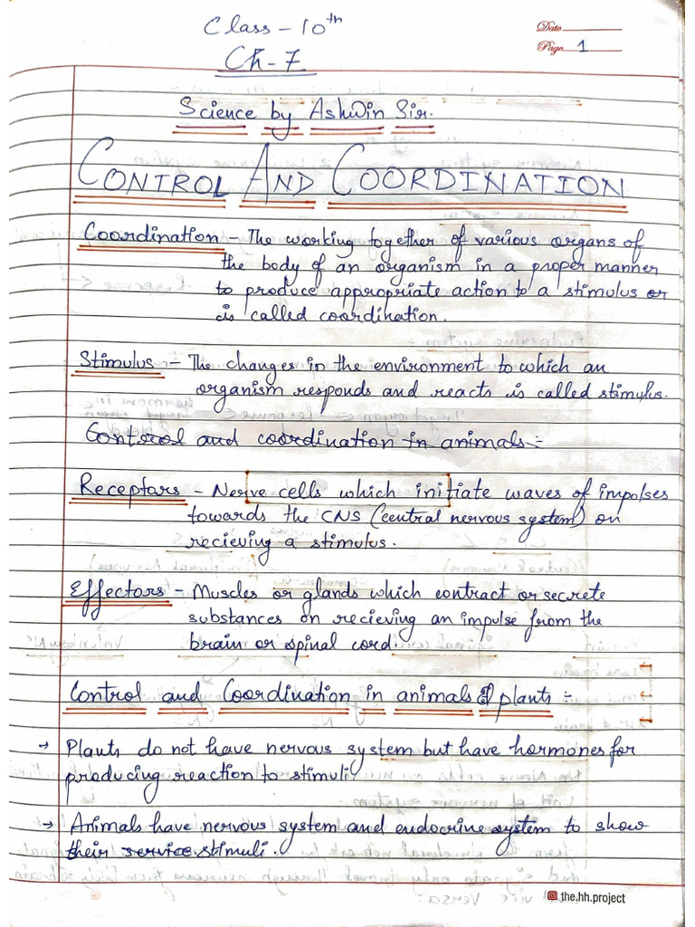 10th Control and Co-Ordination Notes by Ashwin Sir | PDF