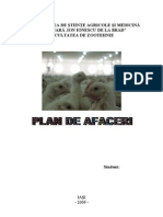 Plan de Afaceri Ferma Pui