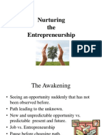 Nurturing The Entrepreneurship 2