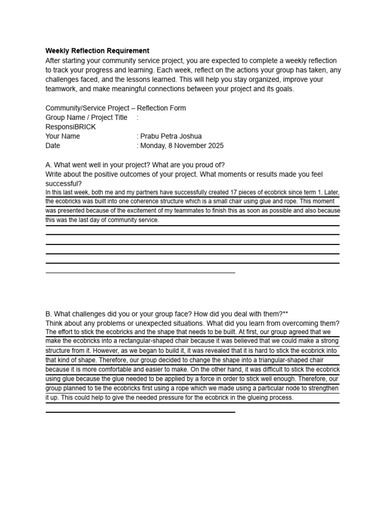 Weekly Community Service Reflection | PDF | Cognitive Science ...