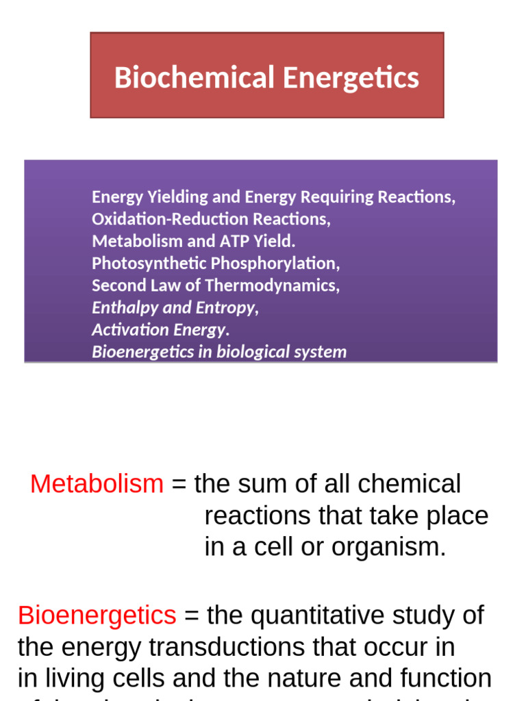 Bioenergetics: Metabolism and ATP Yield | PDF | Metabolism | Adenosine ...