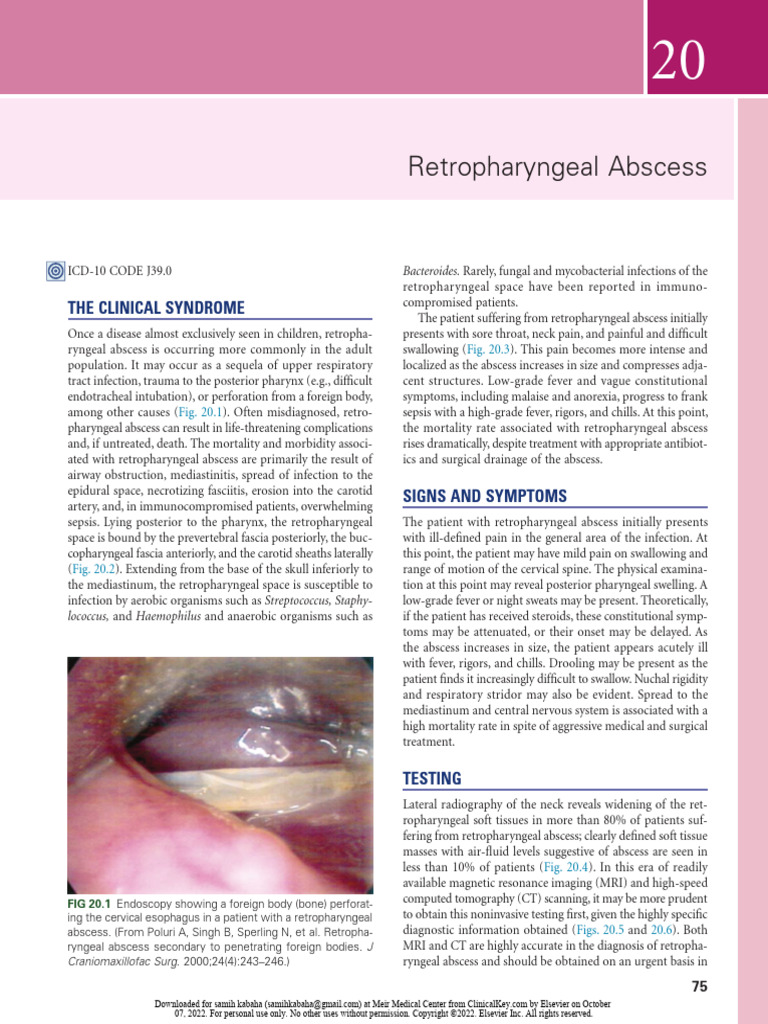 Understanding Retropharyngeal Abscess | PDF | Diseases And Disorders ...
