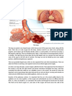 The Lungs