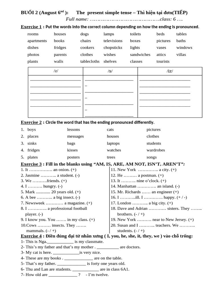 Present Simple Tense Exercises for Class 6 | PDF
