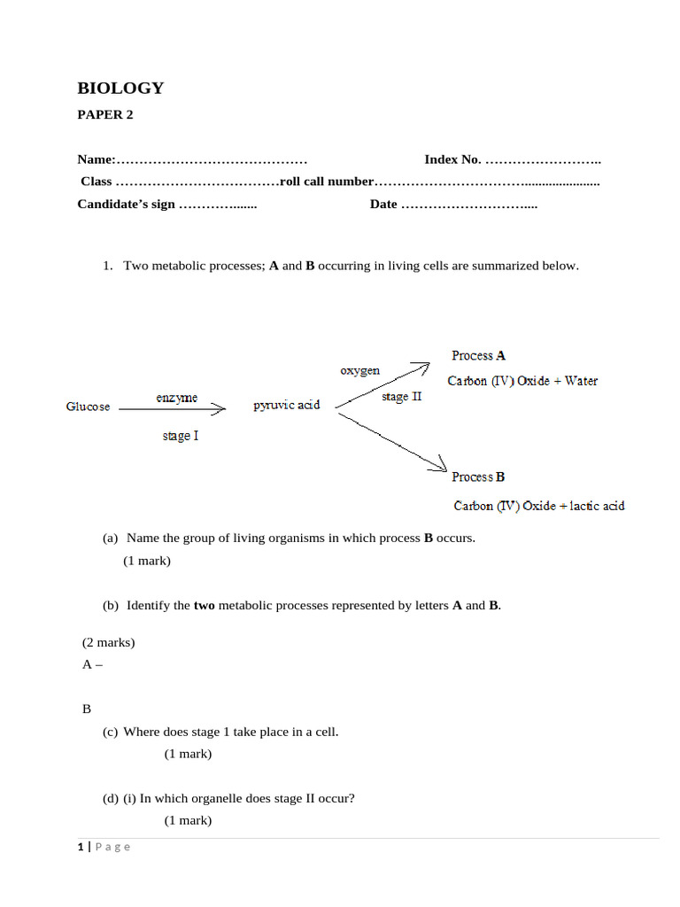 Biology Paper 2: Metabolism, Genetics, and Homeostasis | PDF | Zygosity ...