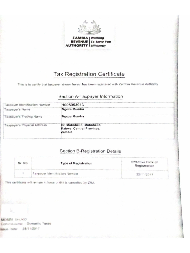 tpin | PDF