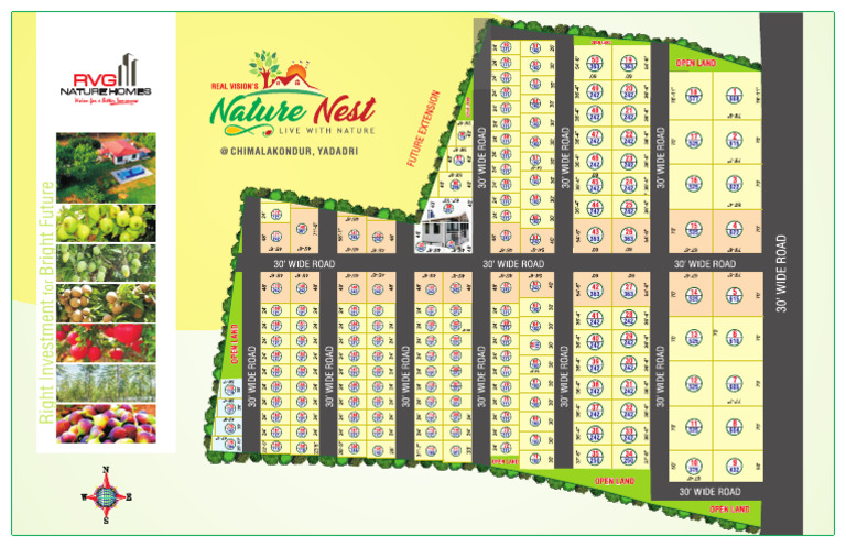 NN Layout Design 03 | PDF