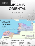 Overview of Region 10 Provinces and Cities | PDF | Philippines