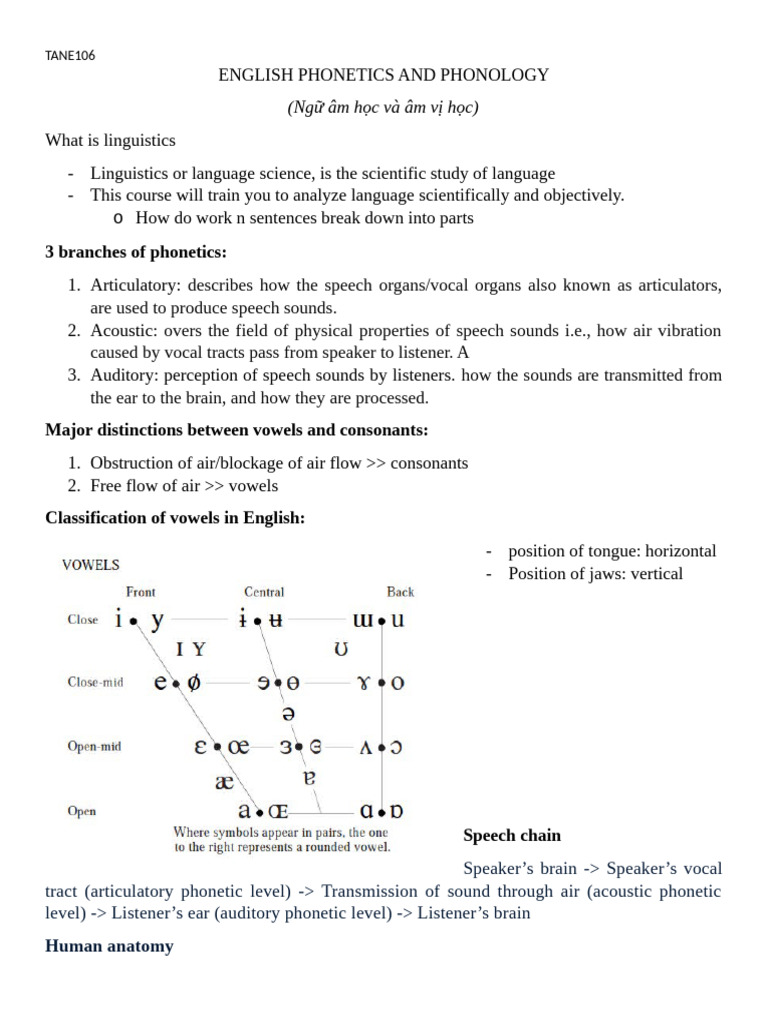 English Phonetics and Phonology | PDF | Phonetics | Speech